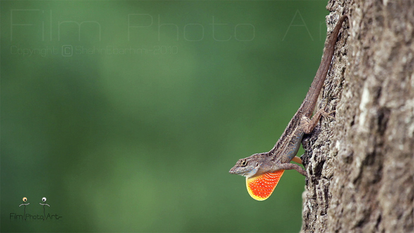 Photography_82