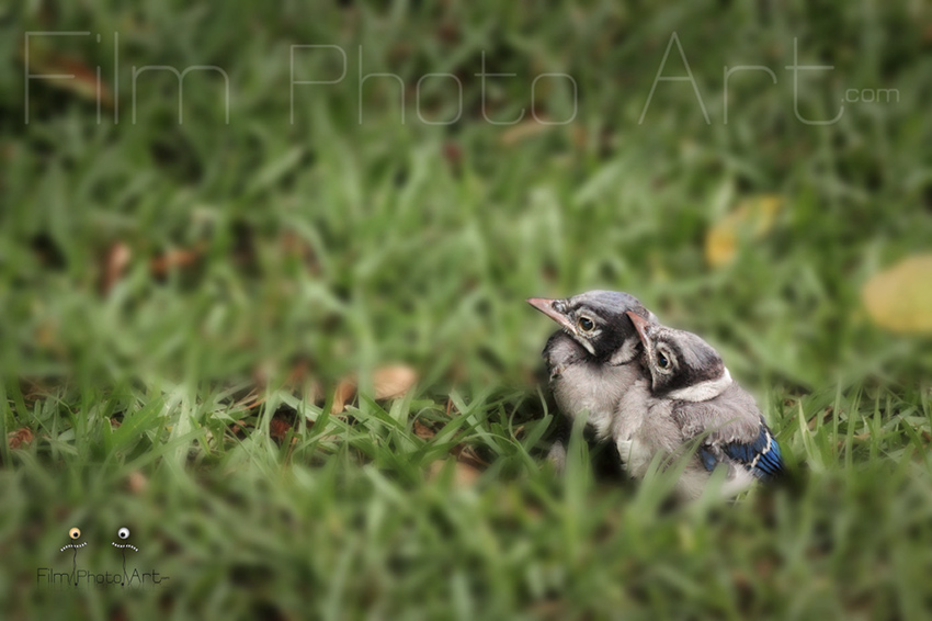 Photography_74