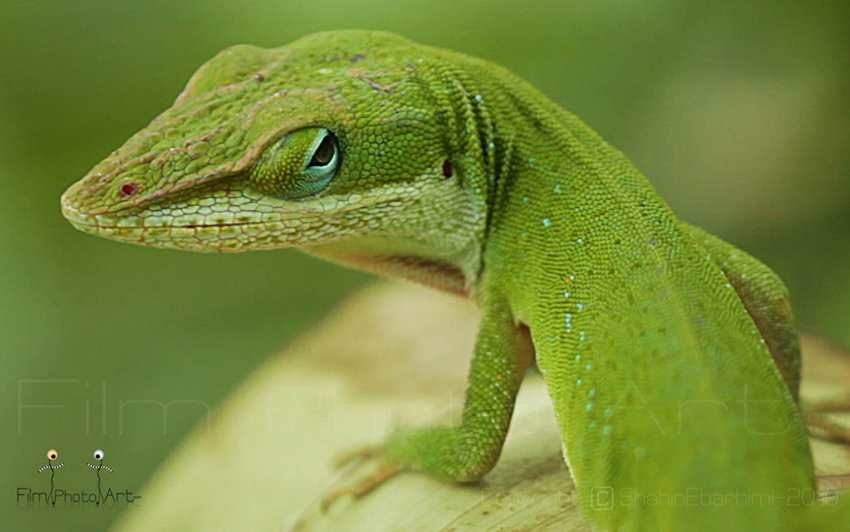 Photography_81