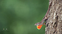 Photography_82