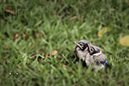 Photography_74