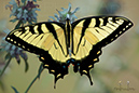 Photography_79