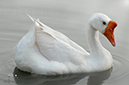 Photography_75
