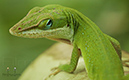 Photography_81