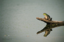 Photography_77
