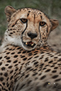 Photography_83
