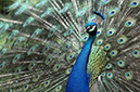 Photography_73